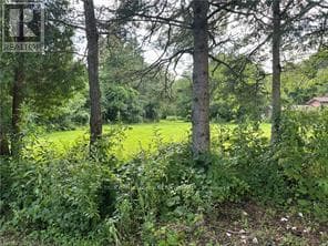 1161 Edgewood Rd.
