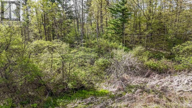 0 Mineral Springs Rd.