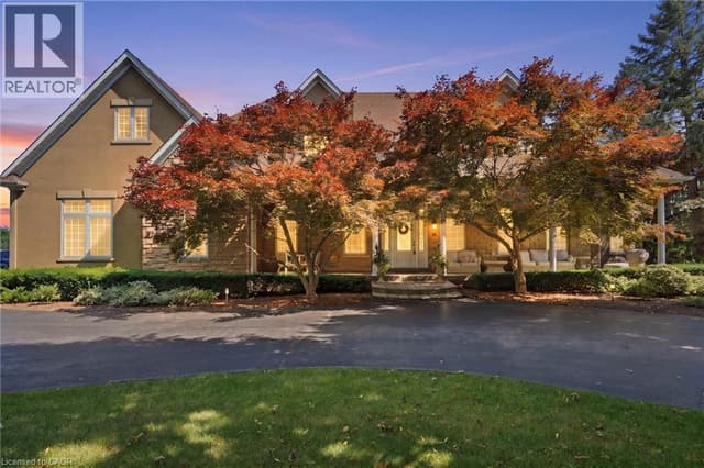 11 Palomino Dr.