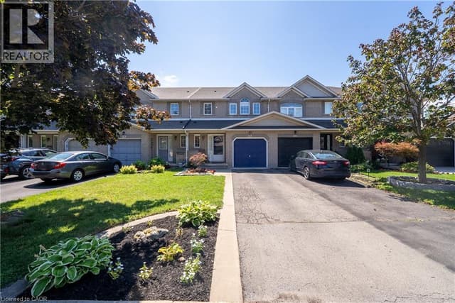 11 Elderberry Ave.