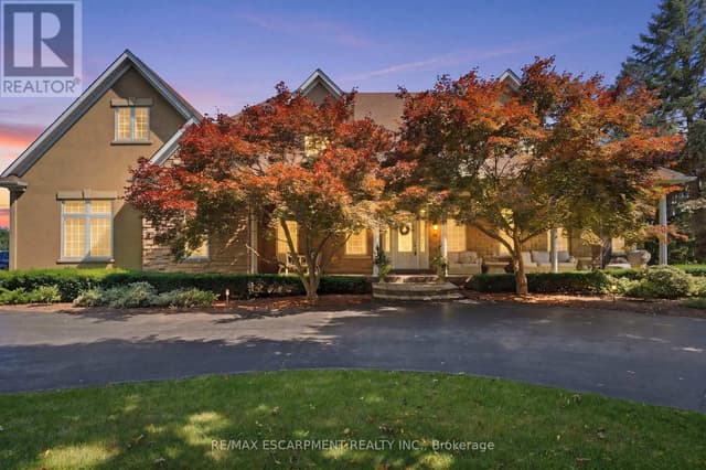 11 Palomino Dr.