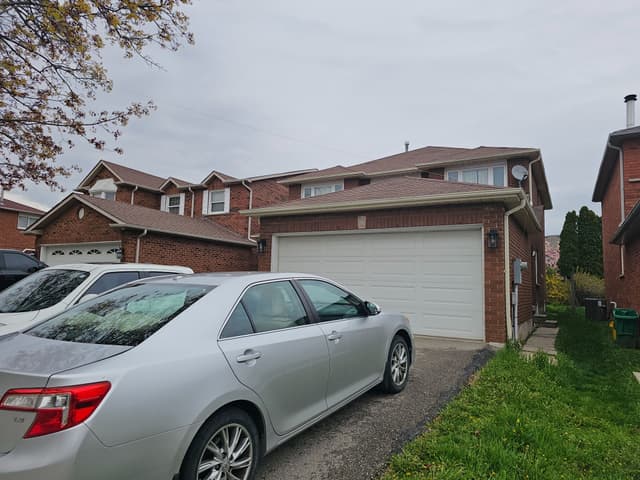 3177 Colonial Dr. Basement #1 Mississauga On L5l 5l3