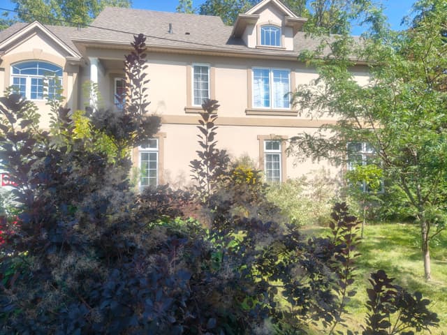 22 Ursula Ave. St Catharines On L2t 1t1