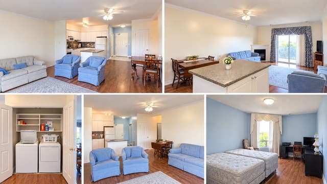 60 Wyndham St. S 503 Guelph On N1e 7h7