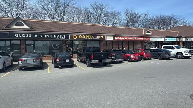 595 Carlton St. 4 St Catharines On L2m 4y2