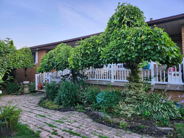 1549 Guyatt Rd. Hamilton On L0r 1c0