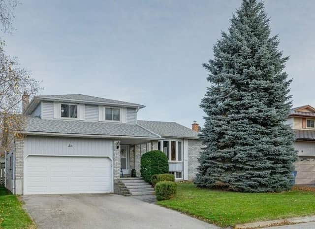 6 Hollyberry Pl. Basement Guelph On N1k 1p2
