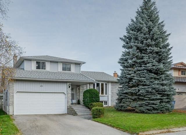 6 Hollyberry Pl. Basement Guelph On N1k 1p2