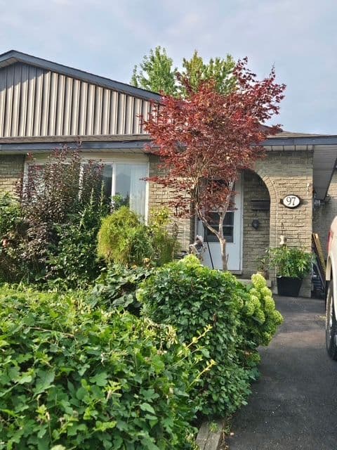 97 Guildwood Dr. Hamilton On L9c 6s3
