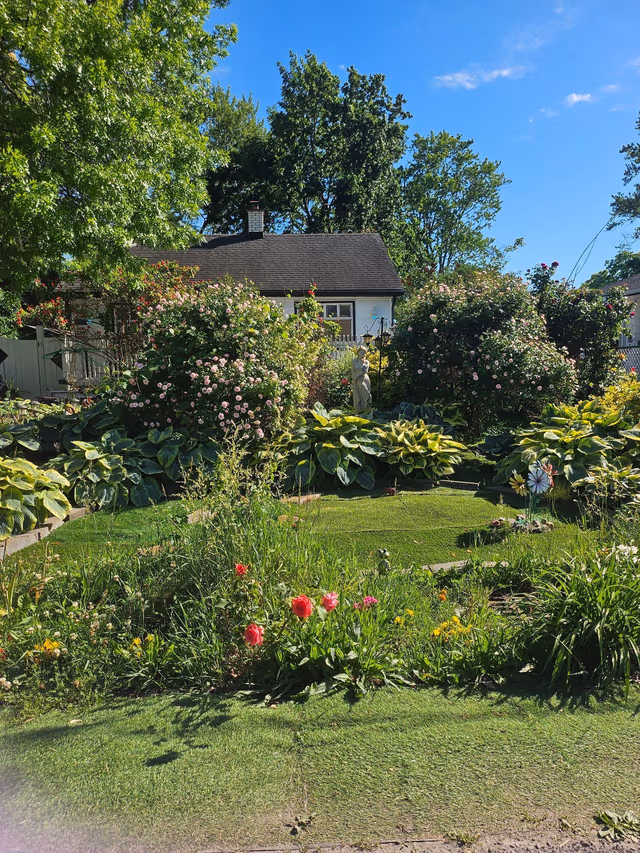 7 Vera St. St Catharines On L2s 1c3
